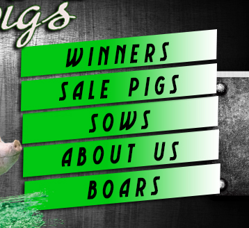 Tibbits Show Pigs : Mineral Point, WI
