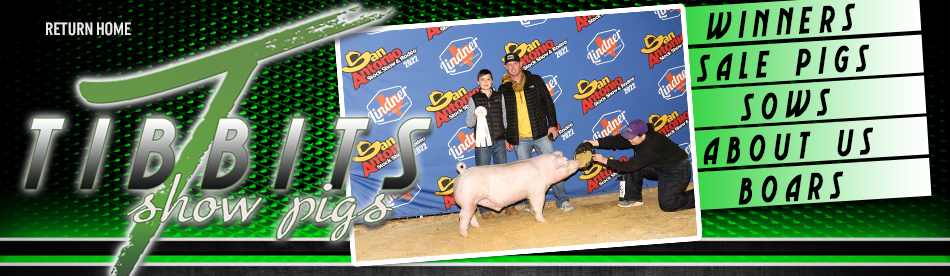 Tibbits Show Pigs : Mineral Point, WI